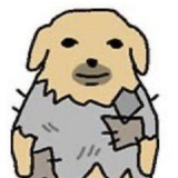 Telegram profile photo for what the fuck, richard
