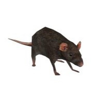 Telegram profile photo for коллаж приколов (с матами)