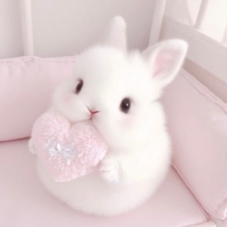 Telegram profile photo for 小烤鱼的鱼塘