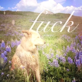 Telegram profile photo for INFO
