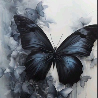 Telegram profile photo for 𝗳𝗮𝗿𝗳𝗮𝗹𝗹𝗮🦋