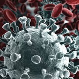 Telegram profile photo for 🔴🧬 Coronavirus Live News international