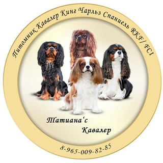 Telegram profile photo for Татиана'с кавалер