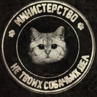 Telegram profile photo for Министерство не твоих собачьих дел