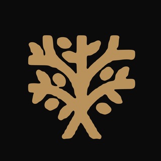Telegram profile photo for ZAMICA Official