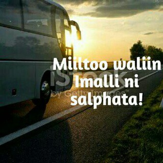 Telegram profile photo for Milto Travel Agency