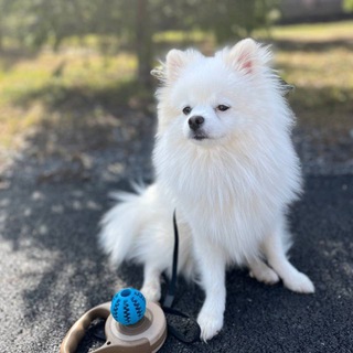 Telegram profile photo for life with Teddy
