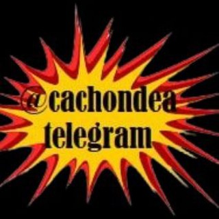 Telegram profile photo for CANAL CACHONDEO VIDEOS DIARIOS DE HUMOR MEMES, MUCHA GUASA Y DIVERSIÓN. RISAS GARANTIZADAS 🤣🤣🤣