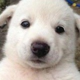 Telegram profile photo for Jim