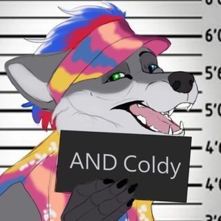 Telegram profile photo for Канал Колди 🦔⚡️