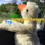 Telegram profile photo for проверки ботов || гусь путешественник