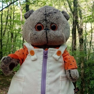 Telegram profile photo for BASIK & MISHA