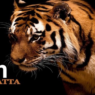 Telegram profile photo for PRABHAT SATTA MATKA