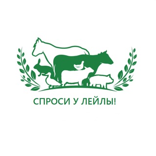 Telegram profile photo for Спросите Лейлу! Listen to Leila 🐏🐄🐖🐐🐎🐓🦃🪿🦆🐣🐌🦗🐇🕊☘️🌾🐕🐈🦞🐟🧬💊📑🏗