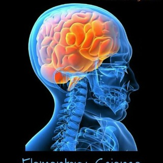 Telegram profile photo for Human anatomy and physiology
