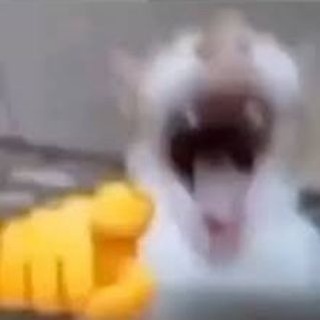 Telegram profile photo for Indigo's Existential Memes (18+)