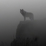 Telegram profile photo for 7iz0