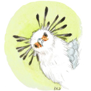 Telegram profile photo for Сон Чёрного Короля