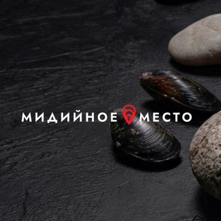 Telegram profile photo for МИДИЙНОЕ МЕСТО Россия