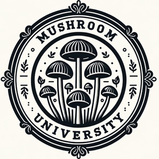 Telegram profile photo for Mushroom University/Грибной университет