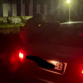 Telegram profile photo for Морда без учёта