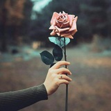 Telegram profile photo for الفـكـر الـراقــي 🌺