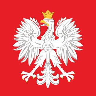 Telegram profile photo for Польский в опросах 🇵🇱 n+1