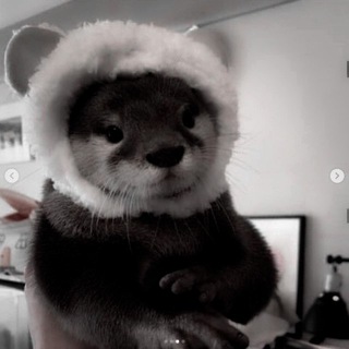 Telegram profile photo for π¦¦::πππ
π πππππ.