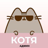 Telegram profile photo for кот-админ