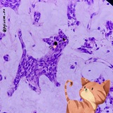 Telegram profile photo for Моя патология / My Pathology