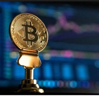 Telegram profile photo for Coin Solver