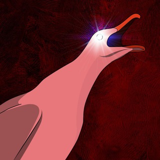 Telegram profile photo for 🐦 Steve Portal 🐦