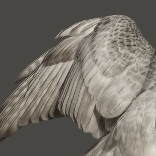 Telegram profile photo for toyotas.nails