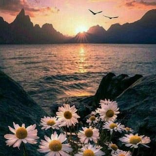 Telegram profile photo for 💫شذى الروح🌸❤️