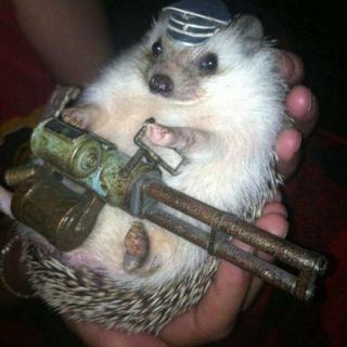 Telegram profile photo for Гаражные ёжики 🦔