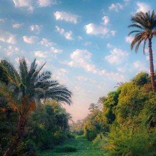 Telegram profile photo for « وَهُـمْ فِـي فَـجْـوَةٍ مِـنْـهُ »