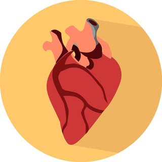 Telegram profile photo for Анатомия | Наше Тело | Медицина