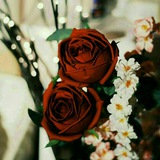 Telegram profile photo for روائع الشعر والأدب
