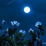 Telegram profile photo for ✎ᝰ. Tenderly Written Tales, of Poetry and Soul ..