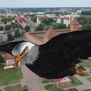 Telegram profile photo for Net_dorog