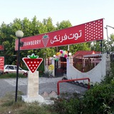 Telegram profile photo for کافه ورستوران توت فرنگی