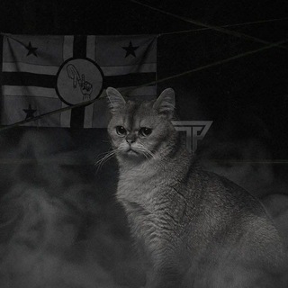Telegram profile photo for Archive