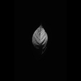 Telegram profile photo for نمدونم