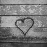 Telegram profile photo for Komolova Alina photography