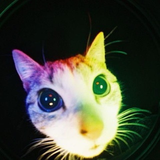 Telegram profile photo for Вертуны Палесайки