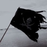 Telegram profile photo for Flying Dutchman