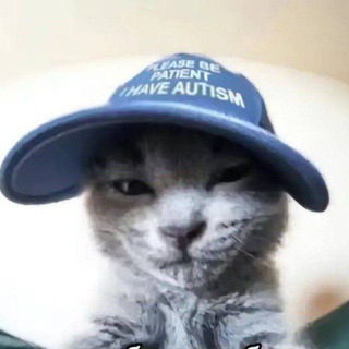 Telegram profile photo for Тихое место