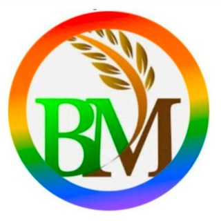 Telegram profile photo for Binary Option Signals