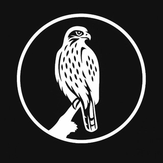 Telegram profile photo for Hawktions
