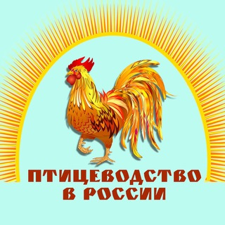 Telegram profile photo for Птицеводство в России